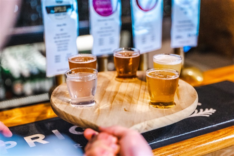 Brewers of Marlborough 1 x Adult